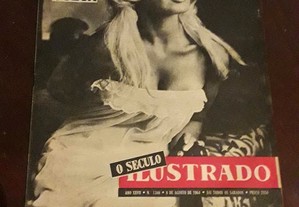 imagem_4