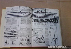 imagem_5