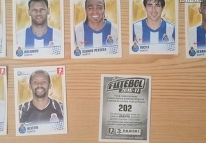 imagem_2