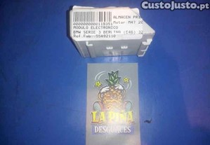 imagem_3
