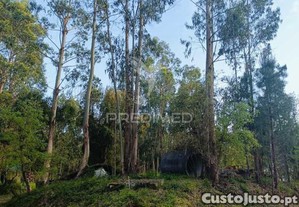 Terreno com 2850m2 para construo de uma moradia em gondemaria