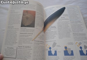 imagem_6