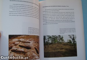 imagem_7