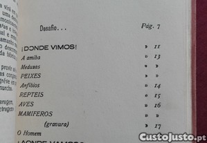 imagem_8