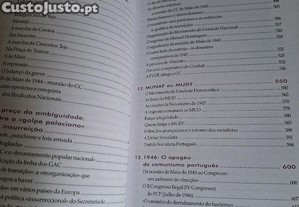 imagem_6