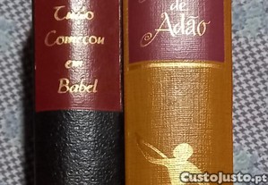 imagem_2