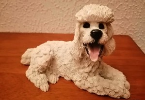 Cão caniche ou poodle decoração
