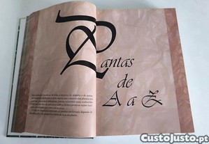 imagem_4