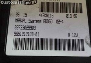 imagem_2
