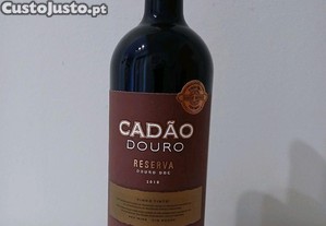 imagem_1