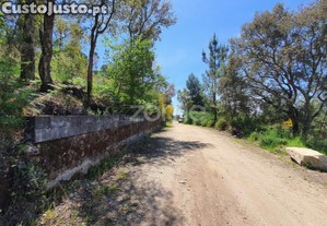 Bouça C/ 14.300M2 Em Airó, Barcelos