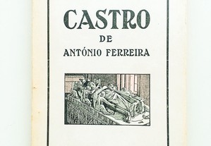 Castro de António Ferreira