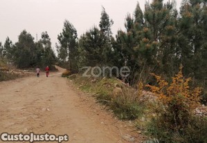 Terreno Com 26.000 M2 Em Ribeirão Vila Nova De...