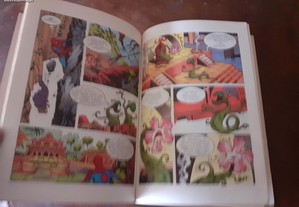 imagem_4