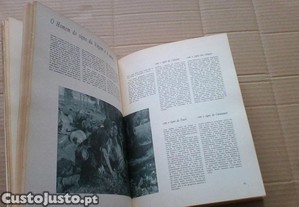 imagem_6