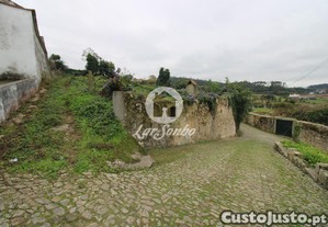 imagem_1