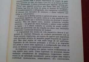 imagem_9