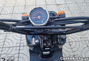 imagem_11
