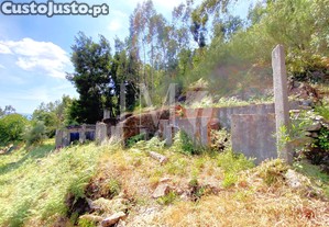 imagem_11