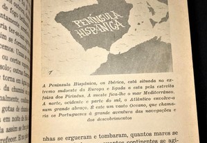 imagem_4