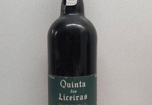 Garrafa de vinho do Porto vintage 1993