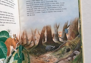 imagem_4