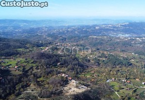 Terreno Florestal Com 4.2 Hectares Em Marco De...