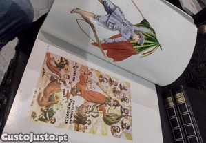 imagem_11