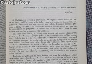 imagem_4