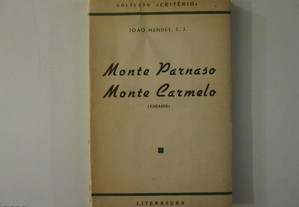 Monte Parnaso-Monte Carmelo- João Mendes S.J.