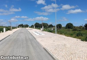 imagem_10
