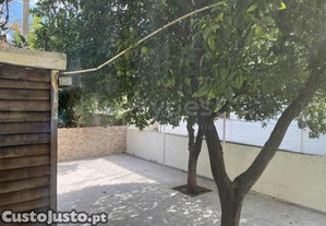 imagem_43