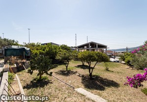 imagem_16