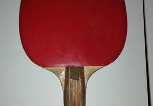 Raquete Ping Pong