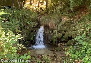 Quinta "Floresta Encantada"   Um Paraíso Natural no Norte de Portugal
