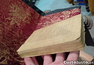 imagem_7