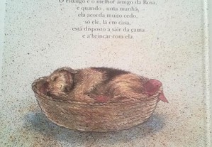 imagem_5