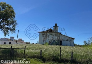 imagem_11