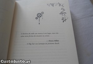 imagem_6