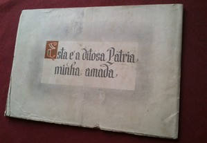 imagem_4