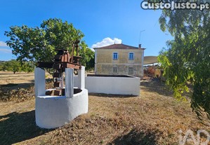 Quinta T3 em Torres Novas (Santa Maria, Salvador e Santiago) de 244 m²