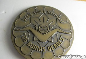imagem_1