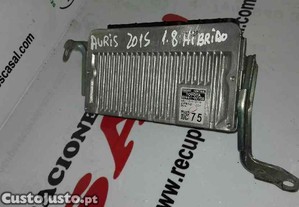 imagem_5