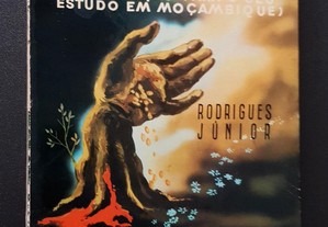 MOÇAMBIQUE Colonização // Rodrigues Júnior