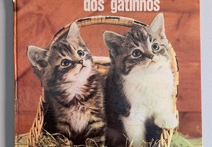 ABC dos Gatinhos