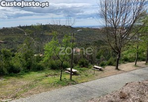 Terreno Para Exploração Florestal E Agrícola -...