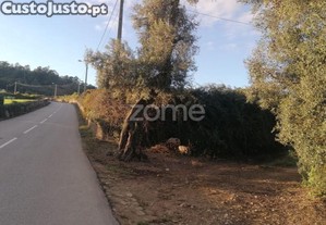 Terreno Agrícola Com 6.650 M2 Em...