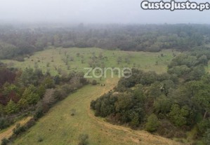 Terreno Agrícola Com 4 Hectares, Vila Nova De...