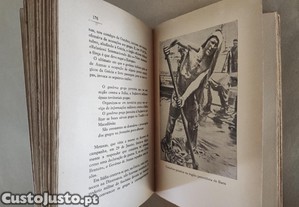 imagem_5