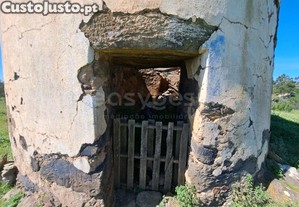 imagem_15